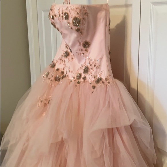 Cinderella Gown - Picture 3 of 5